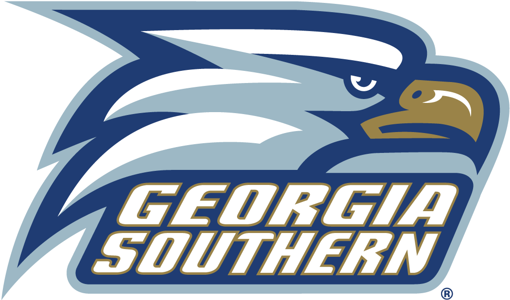 Georgia Southern Eagles 2004-Pres Alternate Logo iron on transfers for clothing